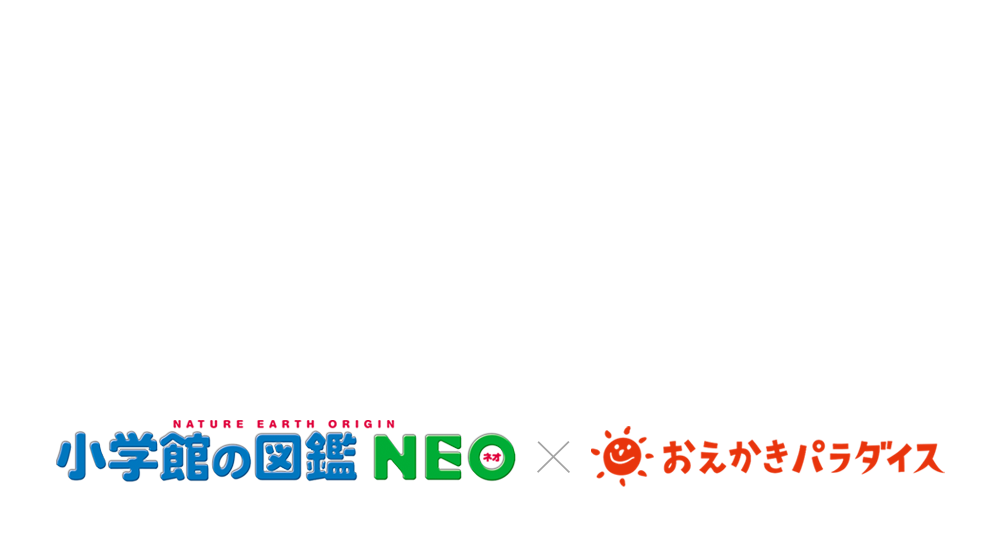 小学館の図鑑NEO 昆虫企画展