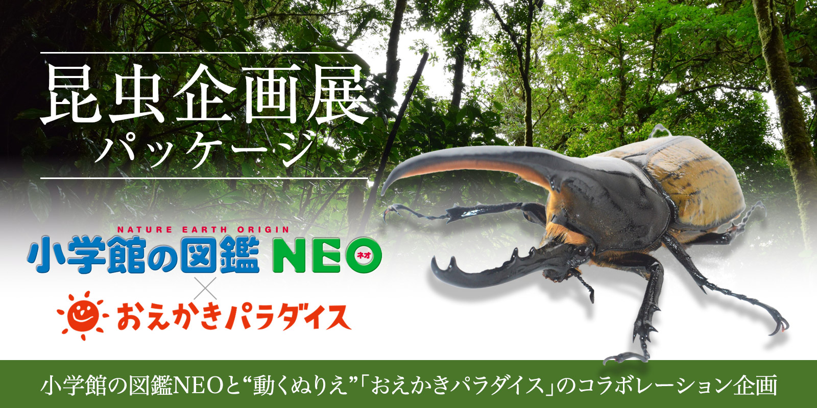 小学館の図鑑NEO 昆虫企画展